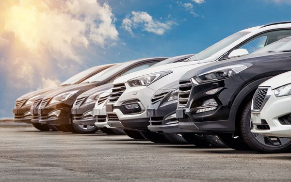 Star Valley Tours - Cab Services in Jaipur